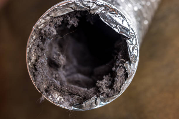 Best Air Duct Mold Removal  in Verde Village, AZ